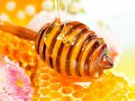 Научно подтвержден факт антибактериальных свойств меда